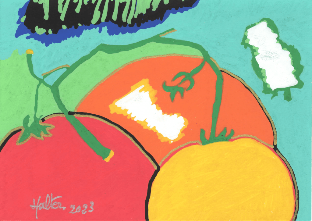 Composition très colorée de trois tomates en grappe sur fond vert
